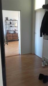 hal kolkmastraat